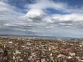ベネチアの写真_256284