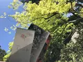 室生寺の写真_256334