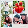 ただかね農園の写真_256363