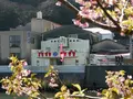 河津三郎の足湯処の写真_256671