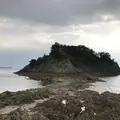 仙酔島の写真_256785