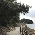 仙酔島の写真_256788
