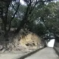 仙酔島の写真_256789