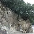 仙酔島の写真_256790