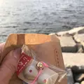阿伏兎観音の写真_256891
