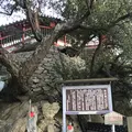 阿伏兎観音の写真_256896