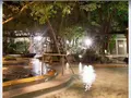 原鶴温泉 泰泉閣の写真_257007