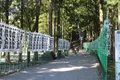 熊野本宮大社の写真_257117