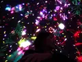 チームラボプラネッツ TOKYO (teamLab Planets TOKYO) DMMの写真_257225