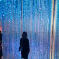 チームラボプラネッツ TOKYO (teamLab Planets TOKYO) DMMの写真_257226