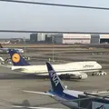羽田空港国際ターミル 展望デッキの写真_257243