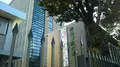 青山学院大学 青山キャンパスの写真_257273