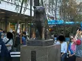 忠犬ハチ公像の写真_257280