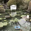 海地獄の写真_257386
