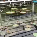 海地獄の写真_257388
