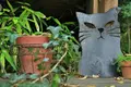 猫の細道の写真_257597