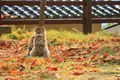 千光寺の写真_257615