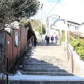 尾道市の写真_257619