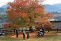 千光寺の写真_257621