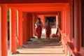 春日大社の写真_257744