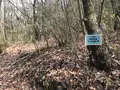 竹中半兵衛陣所跡の写真_258084