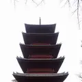 池上本門寺の写真_258288