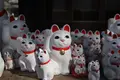 豪徳寺の写真_258311