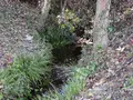 記紀の道の写真_258390