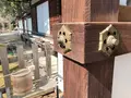 平野神社の写真_258443