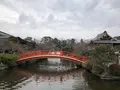 神泉苑の写真_258458