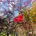 太陽の塔の写真_258672