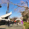 西京極総合運動公園 陸上競技場兼球技場の写真_259200