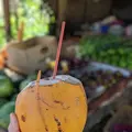 Inamaluwa - Sigiriya Rdの写真_260176