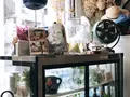 branch（ブランチ）の写真_260498