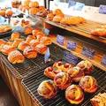 Ｂｏｕｌａｎｇｅｒｉｅ・ｎｉｃｏの写真_260588