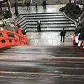住吉大社の写真_261035
