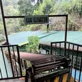 Mackwoods Tea Centerの写真_261075