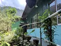 Mackwoods Tea Centerの写真_261076
