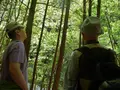 日之影川の写真_261218