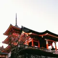 清水寺の写真_261328