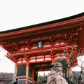 清水寺の写真_261330