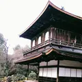 銀閣寺(東山慈照寺)の写真_261348
