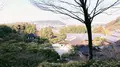銀閣寺(東山慈照寺)の写真_261351