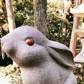 岡崎神社の写真_261355