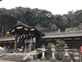 松尾大社の写真_261376