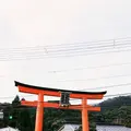 松尾大社の写真_261463