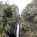 浄蓮の滝の写真_261519
