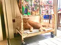 三崎漁港の写真_261869