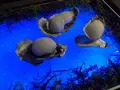 野々香の写真_262050