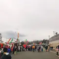相模原ギオンスタジアム（相模原麻溝公園競技場）の写真_262251
